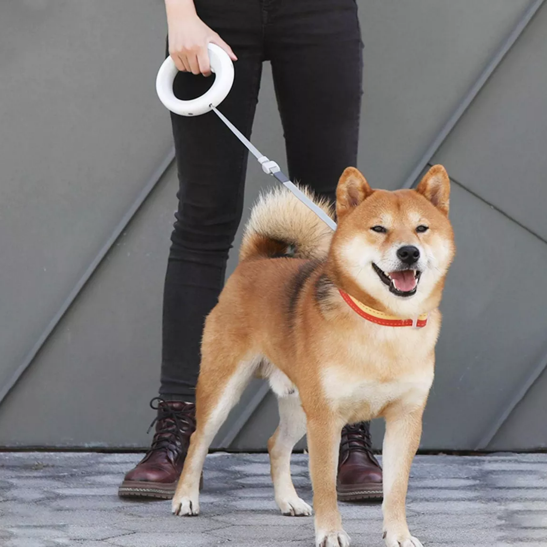 Correa Retáctil para Mascotas — Con Freno de Seguridad