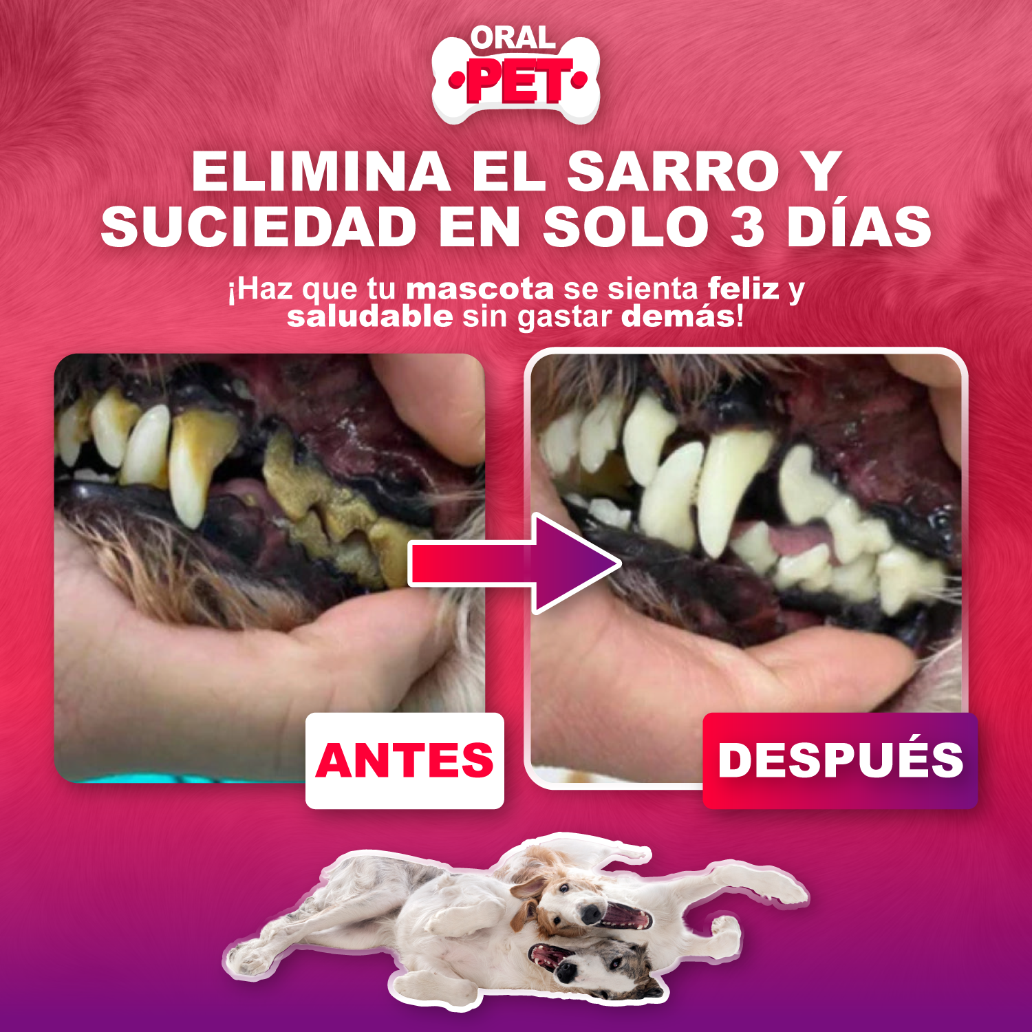 Oral Pet Spray Bucal para Mascotas — Elimina Sarro y Mal Aliento Sin Clínicas